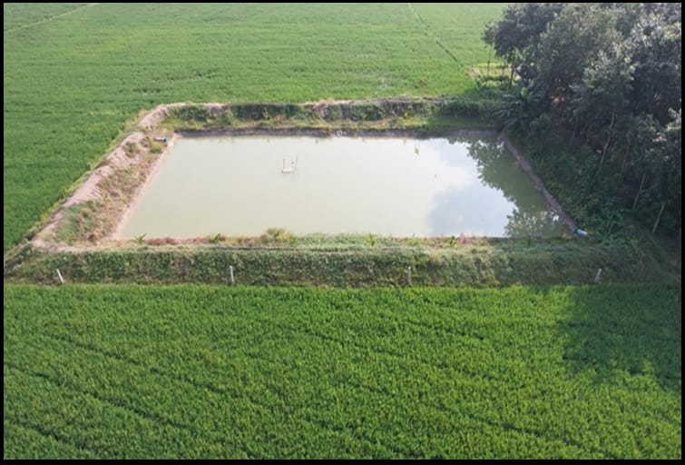 Check Dam Construction